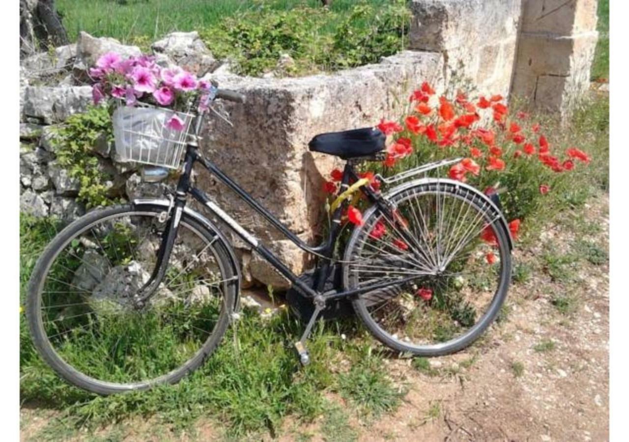 Mansarda Romantica "Il Nido Delle Rondini" Conversano Exteriör bild