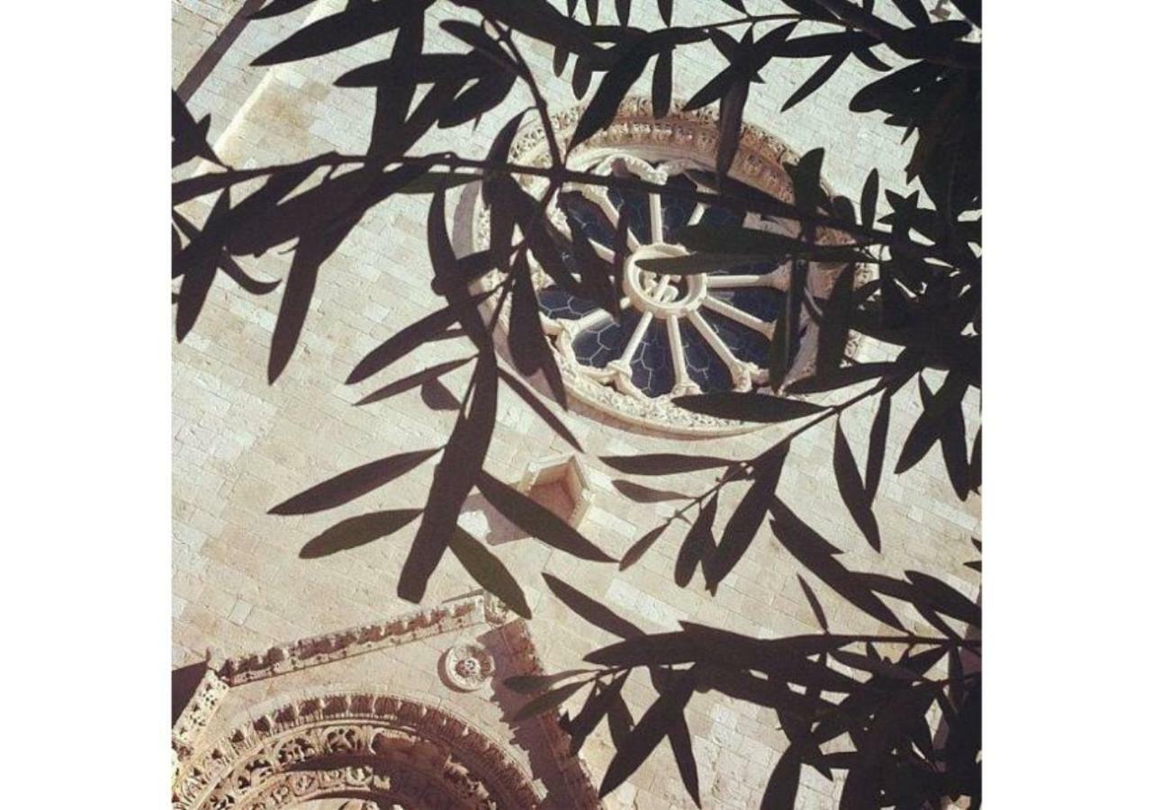 Mansarda Romantica "Il Nido Delle Rondini" Conversano Exteriör bild