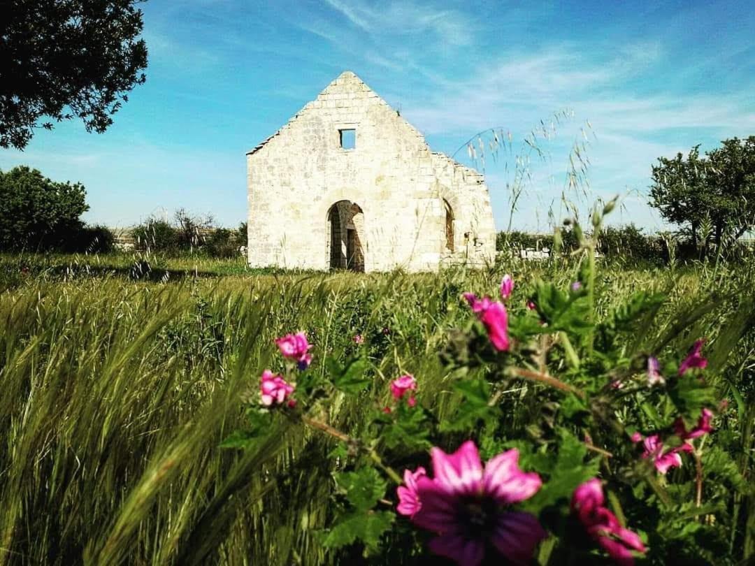 Mansarda Romantica "Il Nido Delle Rondini" Conversano Exteriör bild